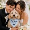 Custom Wedding Dog Bandana, Personalized Pet Bandana with Family Name, Embroidered Dog Scarf, Wedding Announcement Puppy Accessory Gift