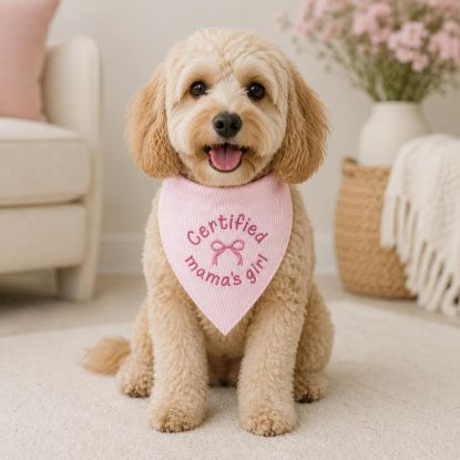 Picture of Certified Mama’s Girl Pet Bandana, Personalized Pink Striped Dog Bandana, Embroidered Puppy Scarf, Cute Girly Dog Accessories, Pet Gift Idea