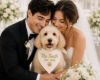 Picture of Custom Wedding Dog Bandana, Personalized Pet Bandana with Family Name, Embroidered Dog Scarf, Wedding Announcement Puppy Accessory Gift