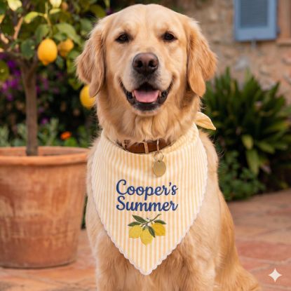Picture of Personalized Lemon Dog Bandana, Custom Embroidered Dog Bandana, Blue Pet Dog Cat Bandana, Summer Puppy Scarf Gift, Pet Party Outfit