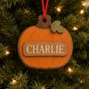 Picture of Personalized Pumpkin Ornament, Custom Halloween Pumpkin Christmas Ornament, Family Fall Decor, Thanksgiving Gift, Kids Christmas Keepsake