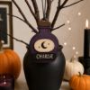 Picture of Personalized Witch Halloween Ornament, Custom Name Wooden Witch Hat Cauldron Potion Moon Ornament, Spooky Halloween Tree Decor, Kids Gift