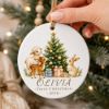 Picture of Personalized Baby First Christmas Ornament, Woodland Animals, Newborn Keepsake Decor