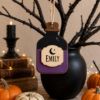 Picture of Personalized Halloween Potion Bottle Ornament, Custom Name Wooden Decor, Kids Halloween Gift, Spooky Tree Decor, Pumpkin Ghost Bat Keepsake
