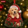 Picture of Personalized Dog Christmas Ornament, Custom Pet Name Golden Puppy Gift, 2D Flat Acrylic Ornament, Dog Lover Christmas Keepsake, Pet Gift