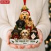 Picture of Personalized Pet Family Ornament, Custom Dog Cat Names Christmas Gift, 2D Flat Ornament, Multi Pet Lover Keepsake, Pet Crew Christmas 2026