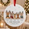 Picture of Personalized Family Deer Christmas Ornament, Custom Reindeer 2 Layer Ceramic Acrylic Ornament, Christmas Gift for Parents, Christmas 2026