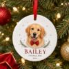 Picture of Personalized Golden Retriever Christmas Ornament, Custom Pet Name 2 Layer Ceramic Acrylic Ornament, Dog Lover Gift, Christmas Keepsake 2026