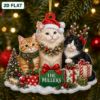 Picture of Personalized Cat Christmas Ornament, Custom Cat Family Keepsake, Orange Tabby & Tuxedo Cat Gift, Pet Lover Holiday Decor, Christmas Gift