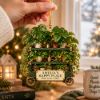 Picture of Personalized Plant Lover Ornament, Custom Name Houseplant Christmas Ornament, Plant Mom Gift, Green Thumb Gift, Happy Place Keepsake 2026