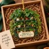 Picture of Personalized Plant Lover Ornament, Custom Name Houseplant Christmas Ornament, Plant Mom Gift, Green Thumb Gift, Happy Place Keepsake 2026