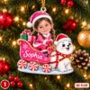 Picture of Personalized Christmas Ornament 2026, Custom Photo & Name Kids Sleigh Ornament, Grandkids Holiday Keepsake, Animal Christmas Gift 2026