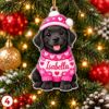 Picture of Personalized Dog Christmas Ornament 2026, Custom Name Pet Ornament, Puppy Christmas Tree Decor, Dog Lover Gift, Pet Keepsake Christmas