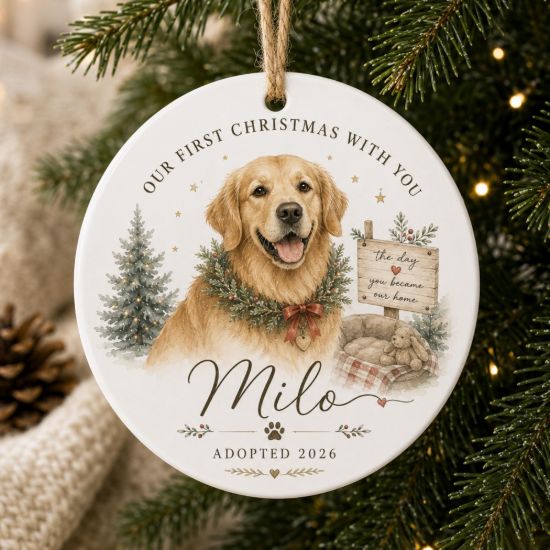 Picture of Personalized Dog Adoption Ornament 2026, Custom Pet Name Christmas Keepsake, Rescue Dog Gift, First Christmas With New Dog, Pet Parent Gift