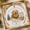 Picture of Personalized Dog Adoption Ornament 2026, Custom Pet Name Christmas Keepsake, Rescue Dog Gift, First Christmas With New Dog, Pet Parent Gift