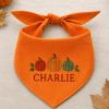 Picture of Personalized Embroidered Dog Bandana, Custom Pet Name Pumpkin Bandana, Fall Thanksgiving Pet Scarf, Autumn Dog Gift 2026 Halloween