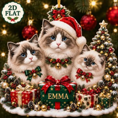 Picture of Personalized Ragdoll Cat Ornament 2026, Custom Pet Christmas Ornament, Ragdoll Cat Family Decor, Cat Lover Gift, Custom Name Keepsake