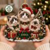 Picture of Personalized Ragdoll Cat Ornament 2026, Custom Pet Christmas Ornament, Ragdoll Cat Family Decor, Cat Lover Gift, Custom Name Keepsake
