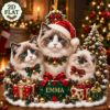 Picture of Personalized Ragdoll Cat Ornament 2026, Custom Pet Christmas Ornament, Ragdoll Cat Family Decor, Cat Lover Gift, Custom Name Keepsake