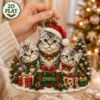 Picture of Personalized Silver Tabby Cat Christmas Ornament 2026, Custom Name Three Tabby Cat Acrylic Ornament, Cat Family Christmas Gift, Cat Keepsake