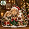 Picture of Rabbit Family Christmas Ornament, Personalized Bunny Keepsake Ornament, Custom Name Acrylic Holiday Decor, Cute Animal Christmas Gift 2026