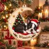 Picture of Personalized Boston Terrier Christmas Ornament, Custom Dog Name Ornament, Boston Terrier Gift, Pet Keepsake, 2D Flat Xmas Tree Decor 2026