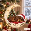 Picture of Personalized Dachshund Christmas Ornament, Custom Dog Name Ornament, Wiener Dog Lover Gift, Pet Keepsake, 2D Flat Christmas Tree Decor 2026