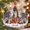 Picture of Personalized Silver Tabby Cat Christmas Ornament, Custom Name Cat Ornament, Cat Mom Gift, Tabby Cat Lover Gift, 2D Flat Christmas Keepsake