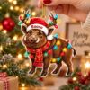 Picture of Personalized Wild Boar Christmas Ornament, Custom Boar Ornament, Hunting Gift, 2D Flat Woodland Animal Holiday Keepsake Christmas Hunting