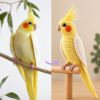 Picture of Custom Your Pet Crochet Doll From Photo, Personalized Bird Plush, Custom Cockatiel Crochet Doll, Parrot Replica, Pet Memorial Keepsake Gift