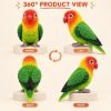 Picture of Custom Your Pet Crochet Doll From Photo, Personalized Bird Plush, Custom Lovebird Crochet Doll, Parrot Replica, Pet Memorial Keepsake Gift