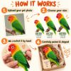 Picture of Custom Your Pet Crochet Doll From Photo, Personalized Bird Plush, Custom Lovebird Crochet Doll, Parrot Replica, Pet Memorial Keepsake Gift