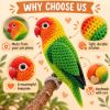 Picture of Custom Your Pet Crochet Doll From Photo, Personalized Bird Plush, Custom Lovebird Crochet Doll, Parrot Replica, Pet Memorial Keepsake Gift