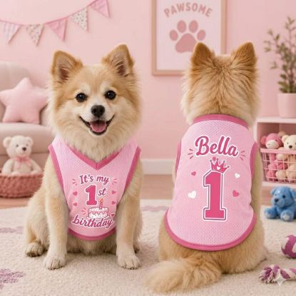 Picture of Custom Birthday Girl Dog Shirt, Personalized Pet Birthday Jersey, Custom Name Number Dog Cat Clothes, Cute Puppy Cat Birthday Shirt Outfit