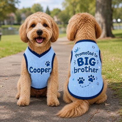 Picture of Promoted to Big Brother Dog Jersey, Personalized Puppy Shirt, Baby Announcement Pet Outfit, Custom Puppy Sibling Reveal Clothes, Photo Props