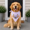 Picture of Personalized Fall Dog Bandana, Pumpkin Dog Bandana, Green Seersucker Dog Bandana, Custom Embroidered Pet Bandana, Autumn Dog Gift Halloween