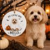 Picture of Personalized Dog Halloween Ceramic Ornament, Custom Pet Portrait, My Little Boo Ghost Dog, Pet Lover Gift, Spooky Season Keepsake Decor 2026
