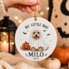 Picture of Personalized Dog Halloween Ceramic Ornament, Custom Pet Portrait, My Little Boo Ghost Dog, Pet Lover Gift, Spooky Season Keepsake Decor 2026