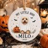 Picture of Personalized Dog Halloween Ceramic Ornament, Custom Pet Portrait, My Little Boo Ghost Dog, Pet Lover Gift, Spooky Season Keepsake Decor 2026